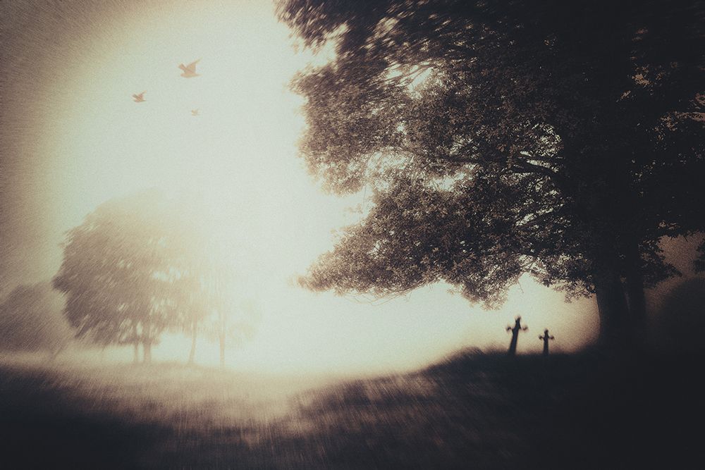 Life And Death art print by Gustav Davidsson for $57.95 CAD