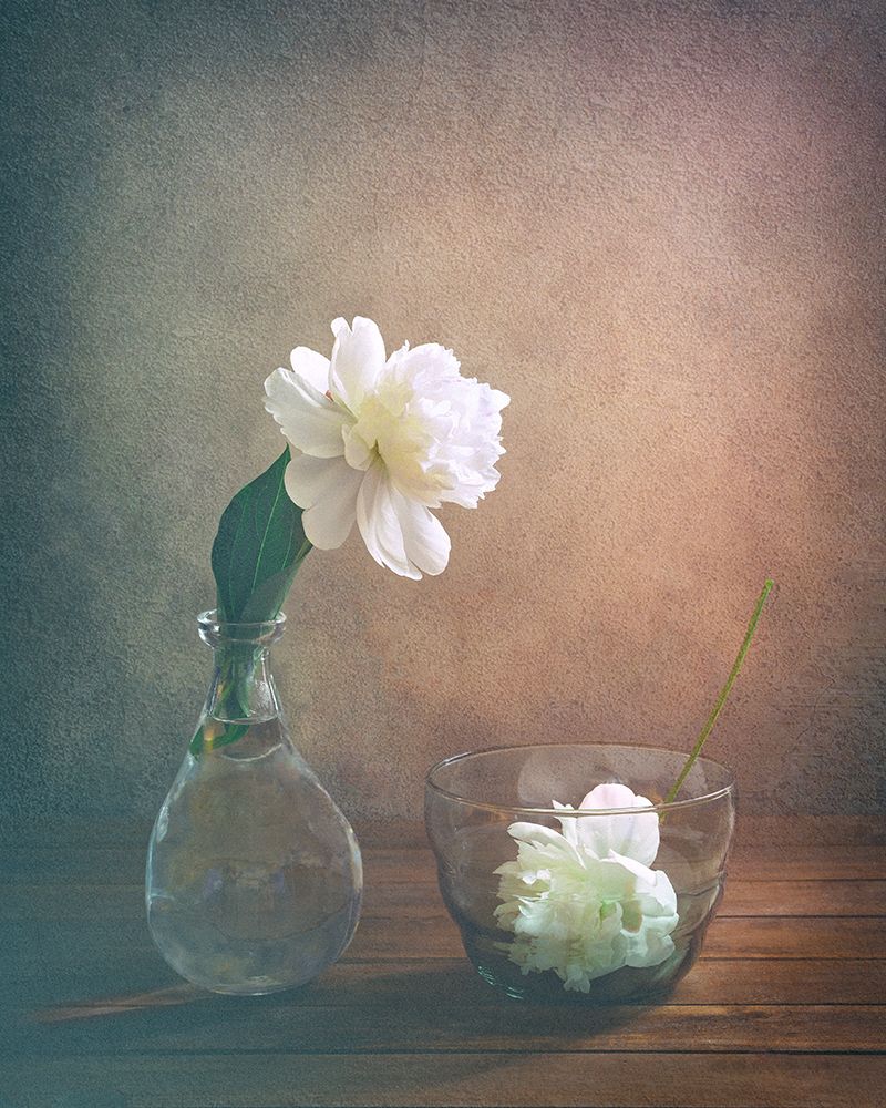 Two Peonies art print by Sophie Pan for $57.95 CAD
