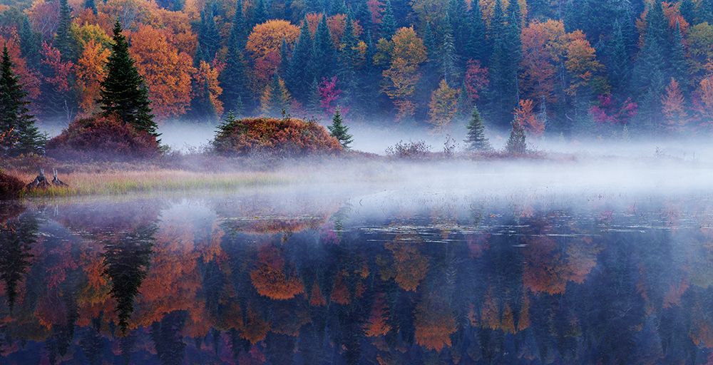 Laurentian Forest art print by Mircea Costina for $57.95 CAD