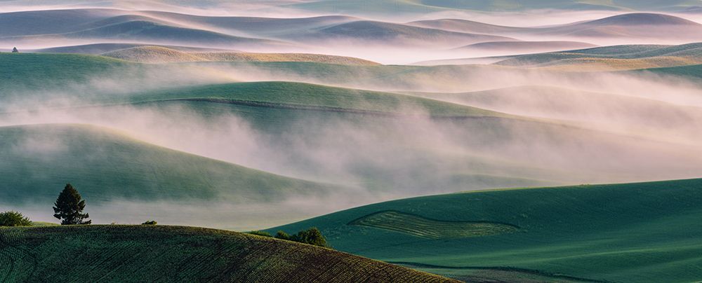 Dream Land in Morning Mist-1 art print by Austin for $57.95 CAD