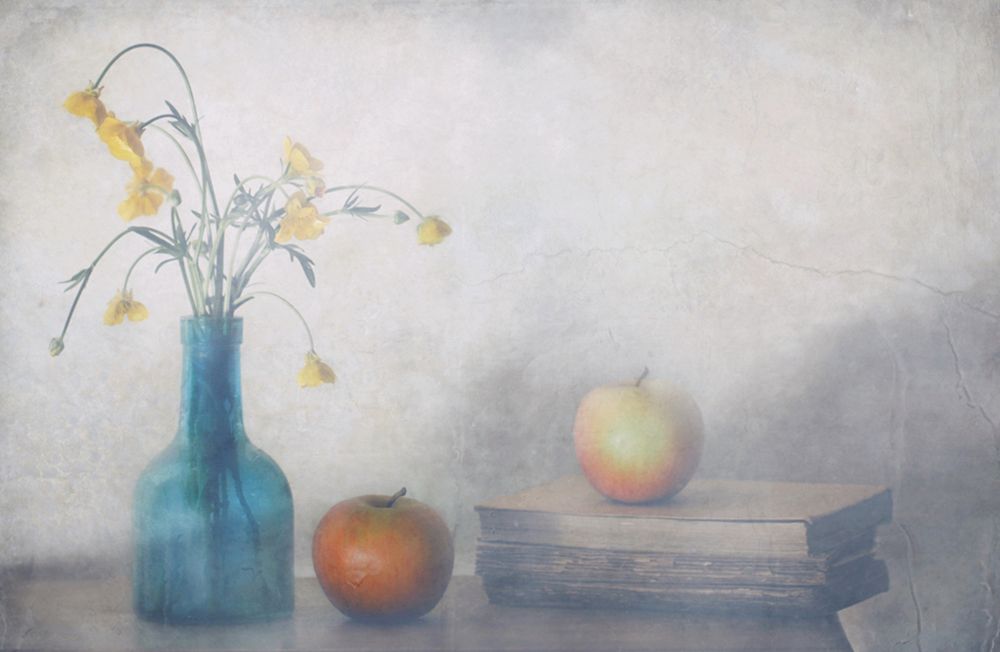 Answer July art print by Delphine Devos for $57.95 CAD