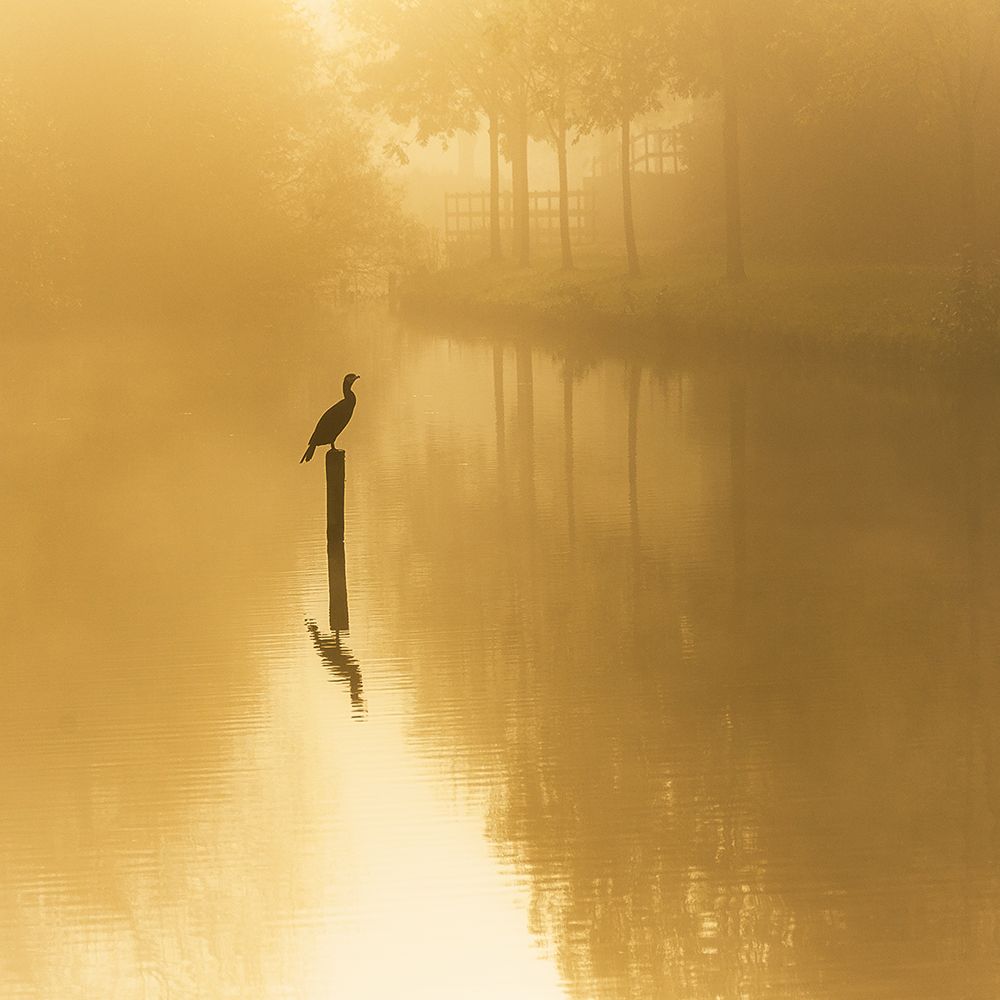 waiting for the sun .......... art print by Piet Haaksma for $57.95 CAD