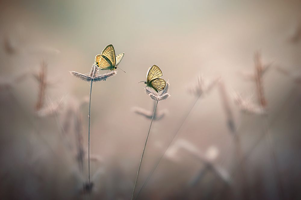 With You art print by Edy Pamungkas for $57.95 CAD