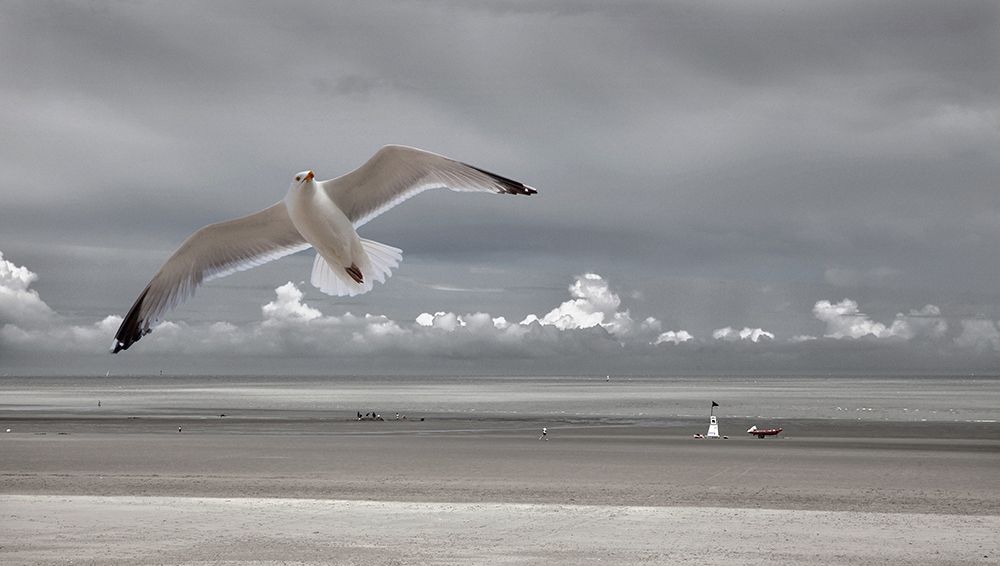 Seaside Mood art print by Yvette Depaepe for $57.95 CAD