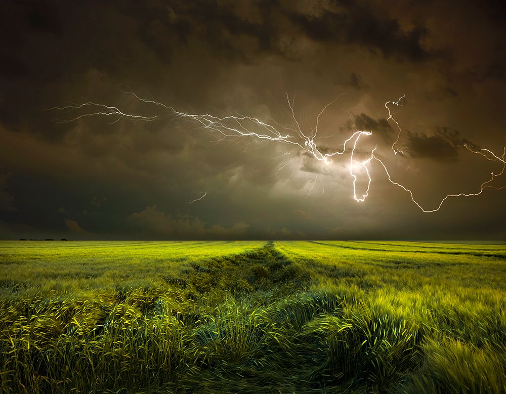 Electrically in Summer art print by Nicolas Schumacher for $57.95 CAD