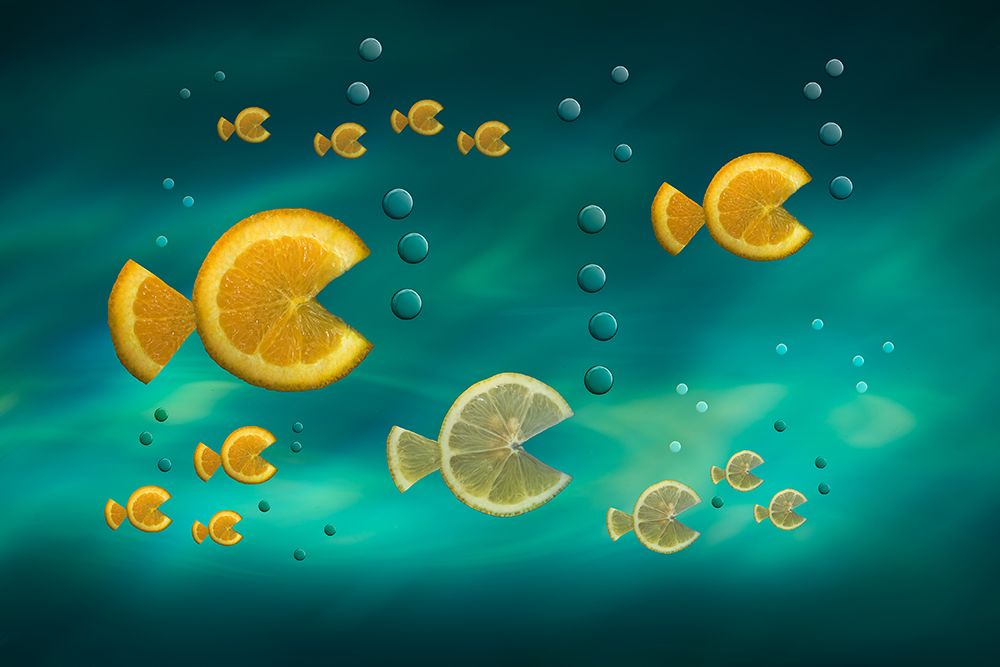 Fish in the Sea art print by Jacqueline Hammer for $57.95 CAD