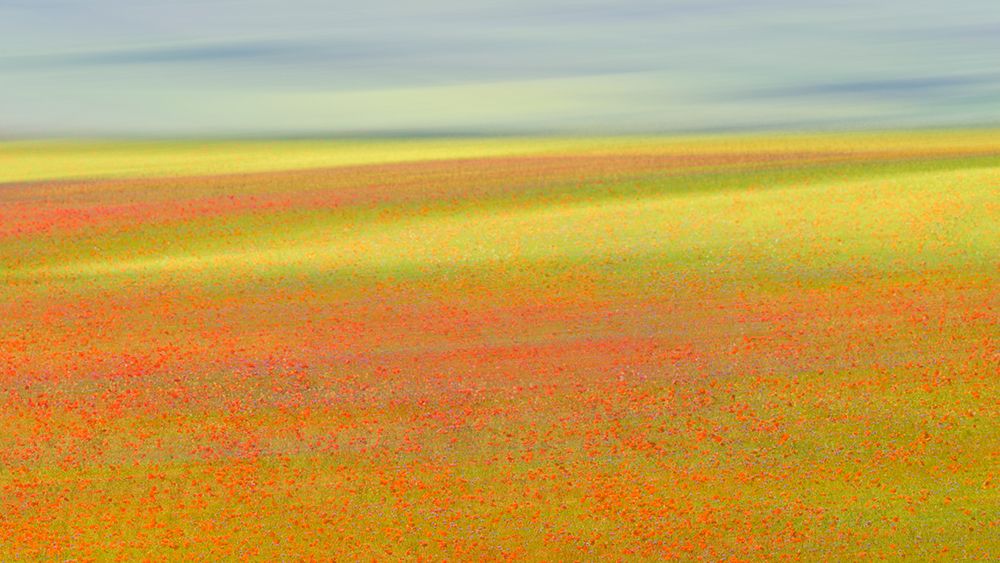 Castelluccio Colors art print by Roberto Marchegiani for $57.95 CAD