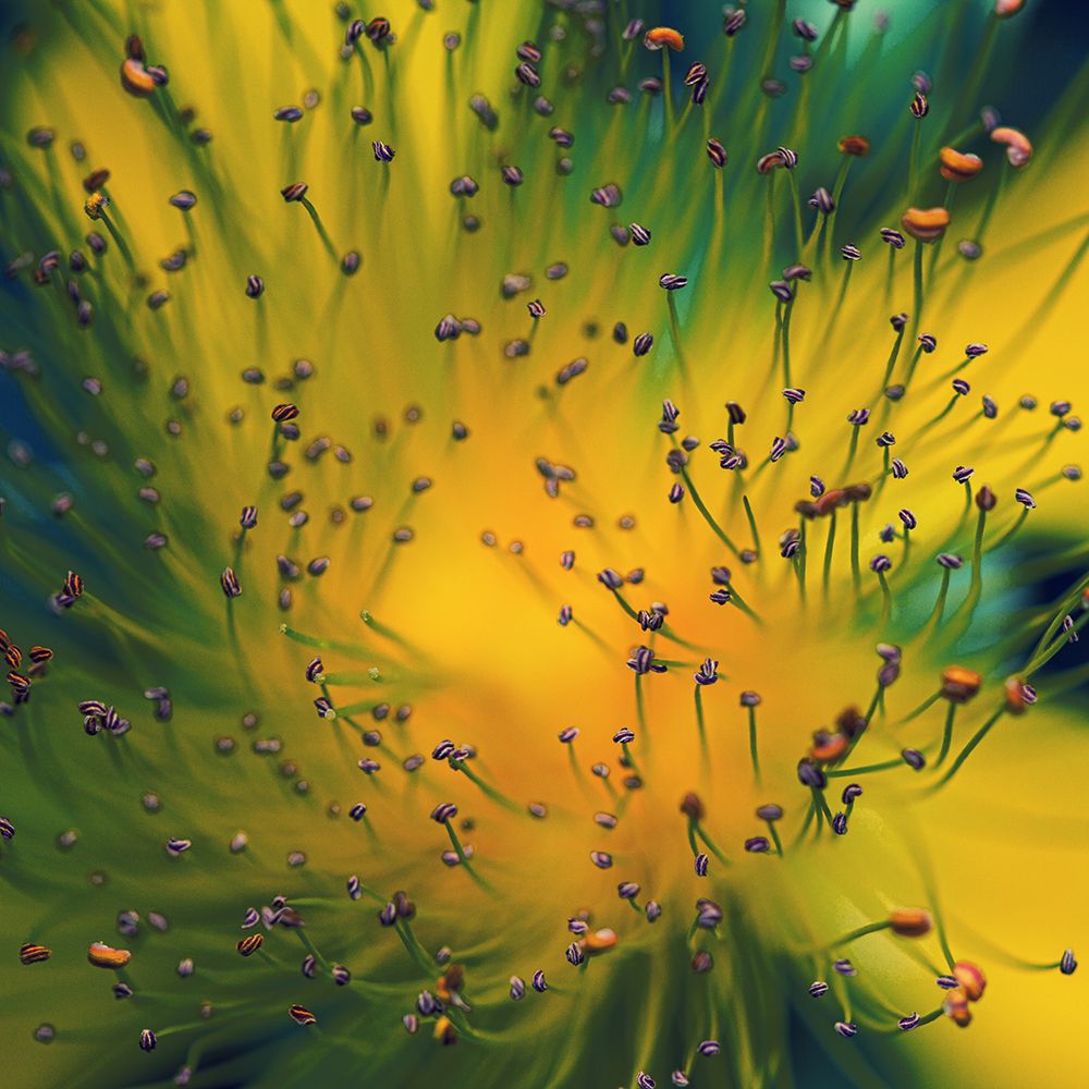 Creation art print by Dimitar Lazarov for $57.95 CAD