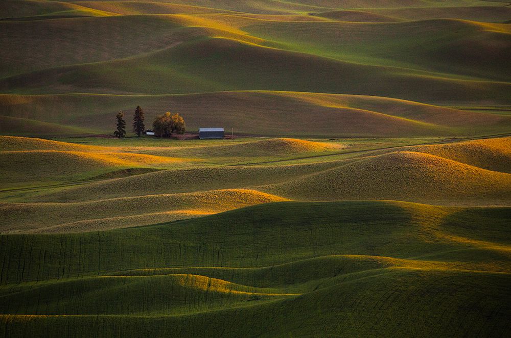 Sunset at Rolling Hills art print by April Xie for $57.95 CAD
