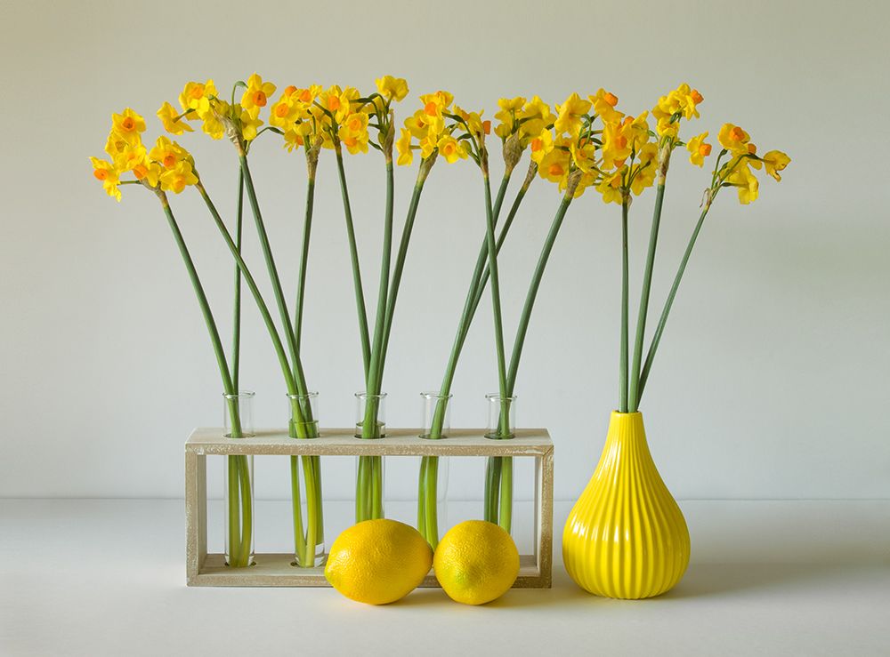 The Freshness Of Spring art print by Jacqueline Hammer for $57.95 CAD