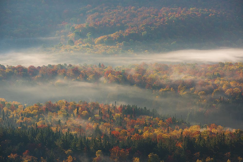 Misty Morning art print by Austin Li for $57.95 CAD