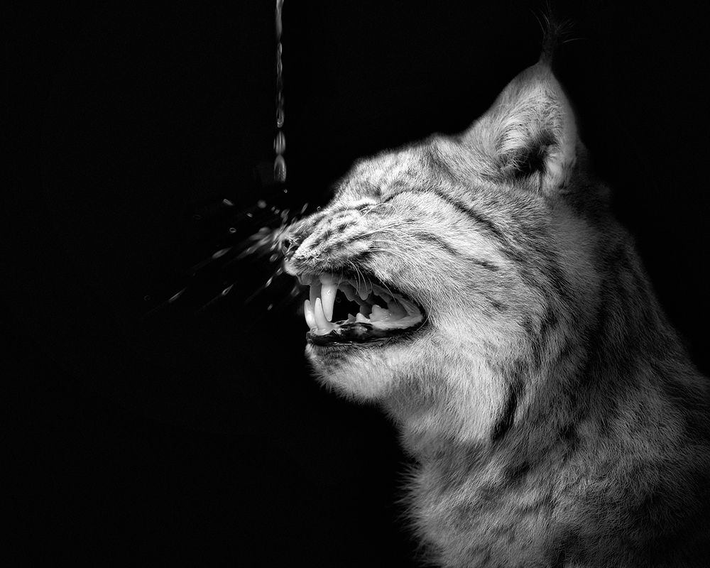 The Shock art print by Holger Droste for $57.95 CAD