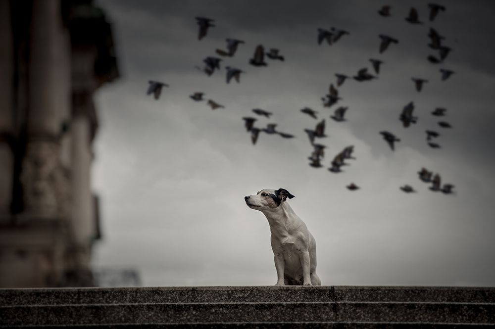 Close your eyes and listen... art print by Heike Willers for $57.95 CAD