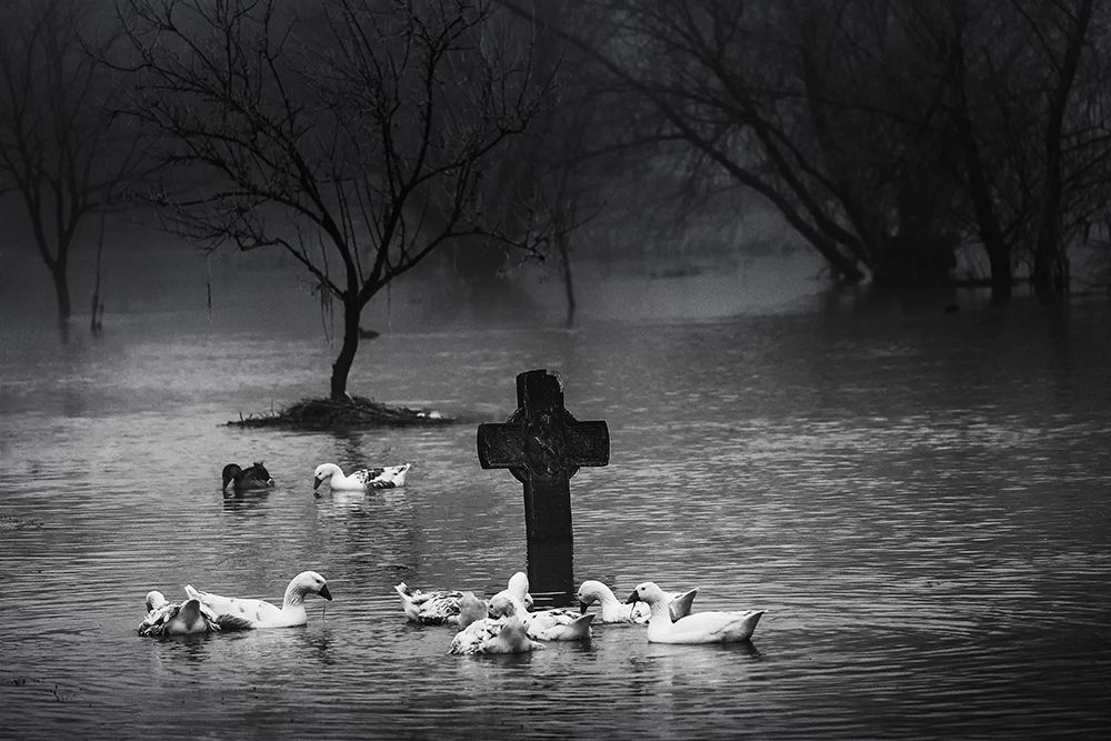 Flooded art print by Marius Cinteza for $57.95 CAD
