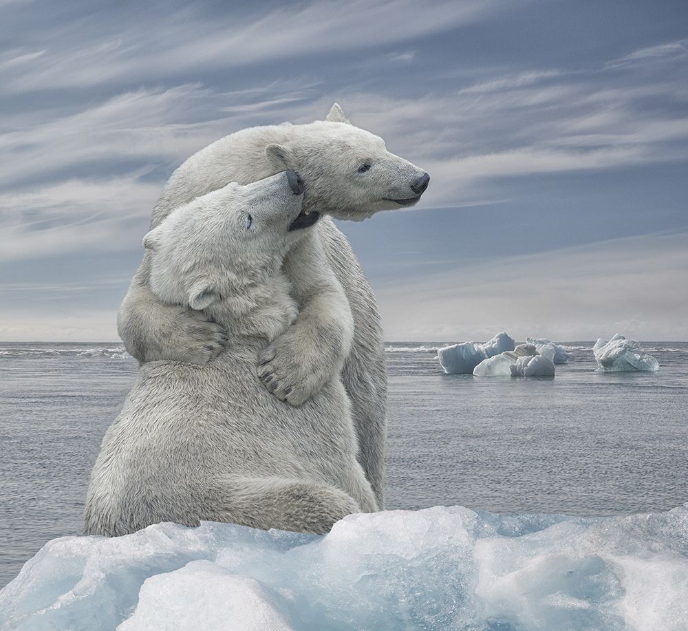 The Big Hug art print by Rene Heylen for $57.95 CAD