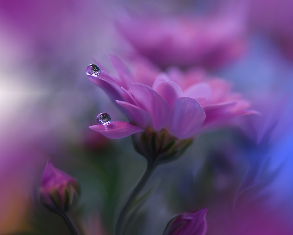 All Of Me... art print by Juliana Nan for $57.95 CAD