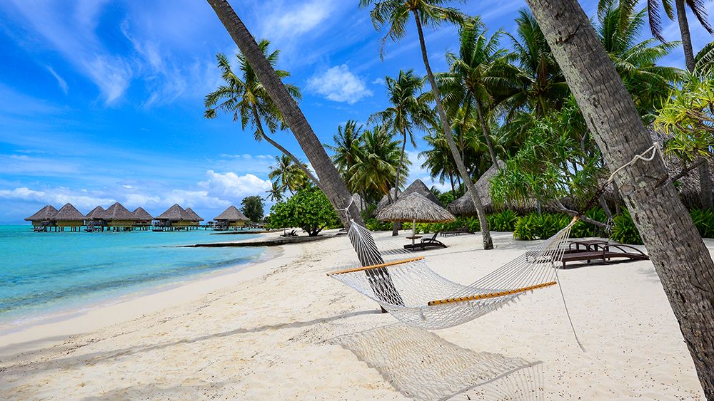 Paradise Hammock art print by Mike Leske for $57.95 CAD