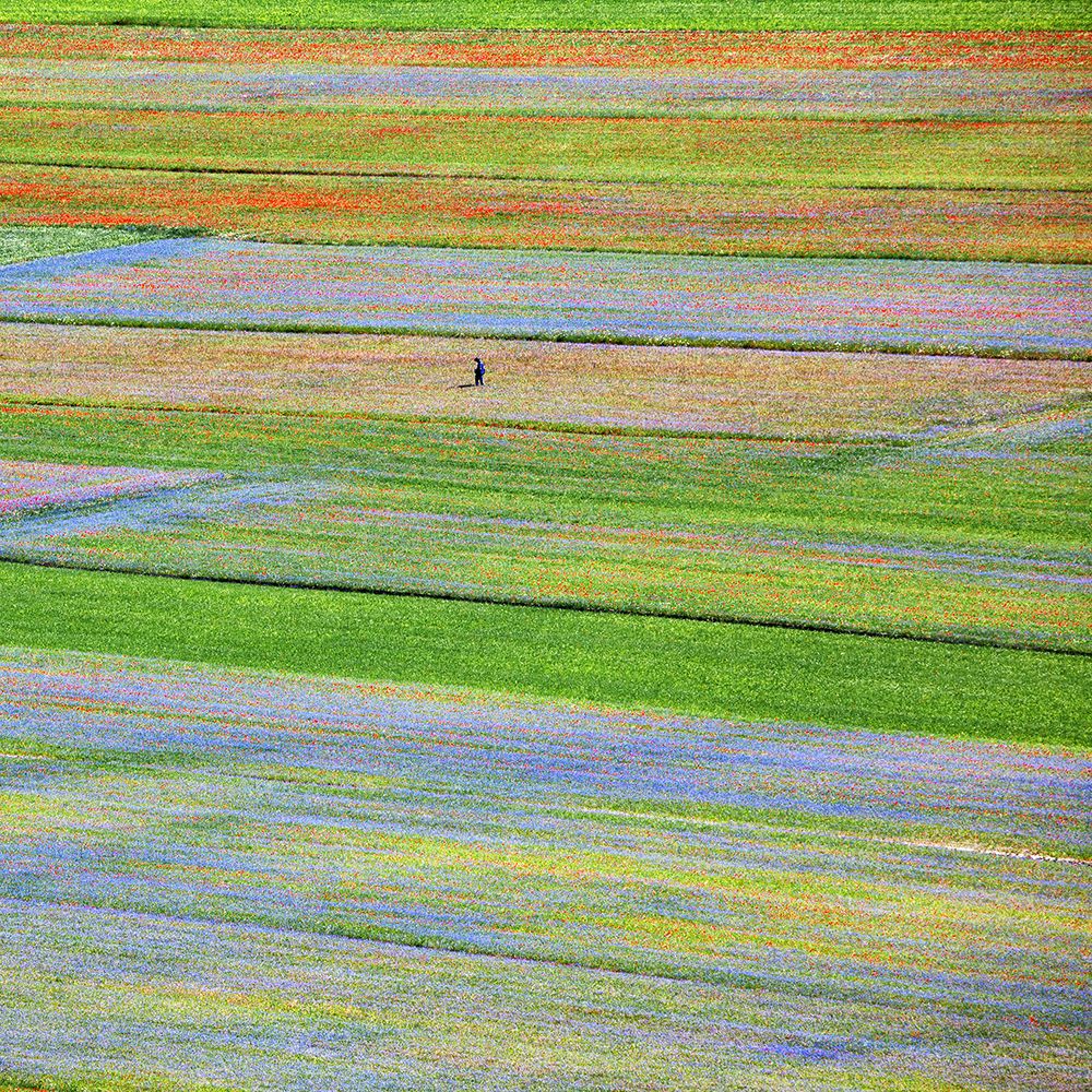 Castelluccio 5 art print by Massimo Della Latta for $57.95 CAD