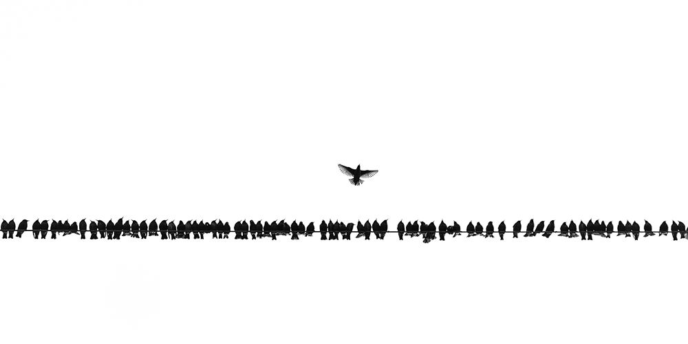 We warn you Icarus, not too close to the sun art print by Rob Blanken for $57.95 CAD