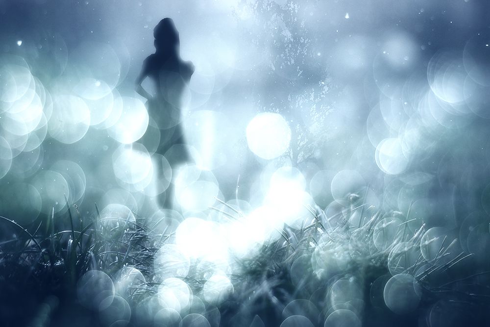 Midsummer  Dreams II art print by Stefan Eisele for $57.95 CAD