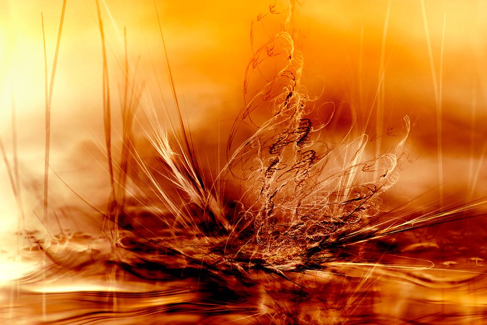 Burning water art print by Willy Marthinussen for $57.95 CAD