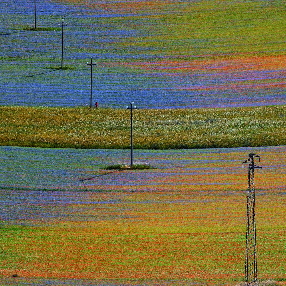 Castelluccio 1 art print by Massimo Della Latta for $57.95 CAD