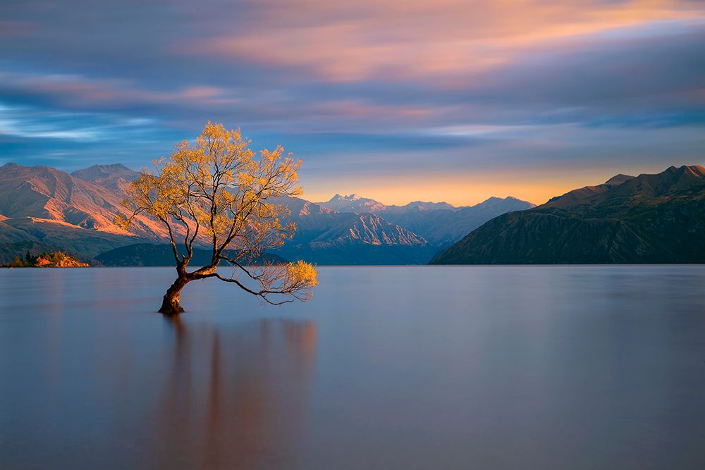 Morning Glow art print by Renee Doyle for $57.95 CAD