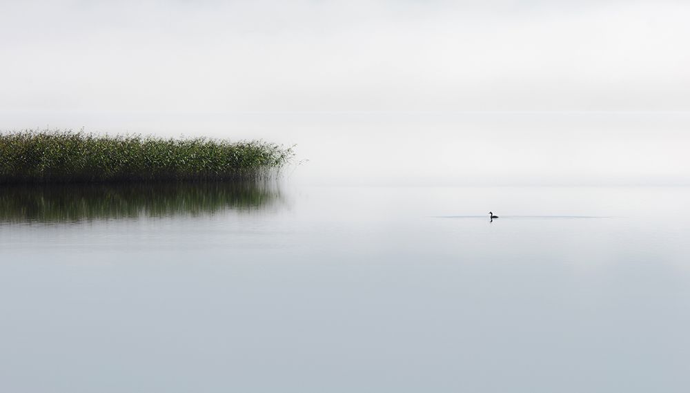 The Lone Fisher art print by Bjorn Emanuelson for $57.95 CAD