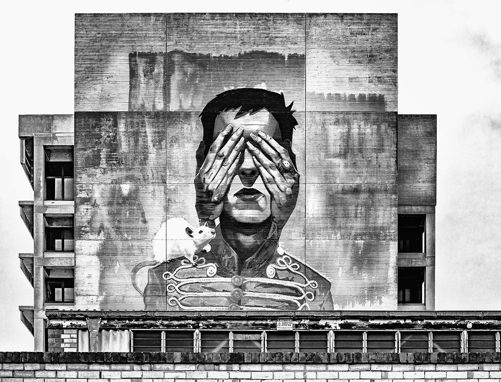See No Evil art print by Wayne Pearson for $57.95 CAD