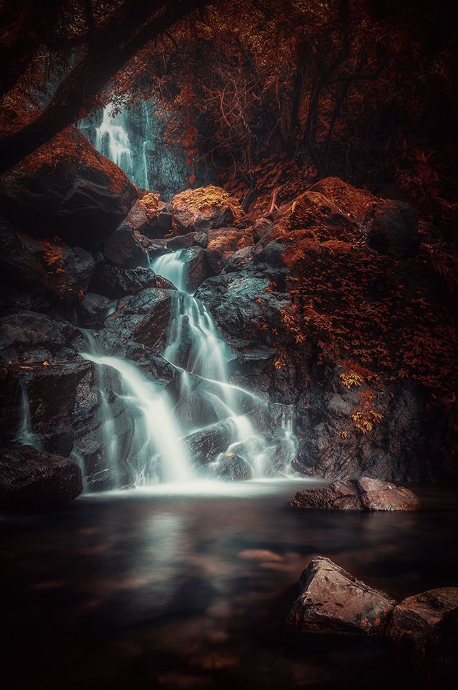 Red Eden art print by Rudi Gunawan for $57.95 CAD