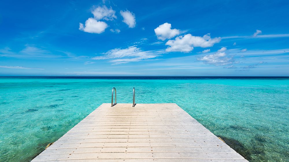 Caribbean Dream art print by Mike Leske for $57.95 CAD