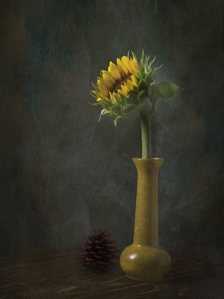 Searching the Light art print by Eduardo Llerandi for $57.95 CAD