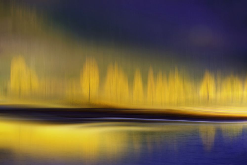 Yellow Night art print by Heidi Westum for $57.95 CAD