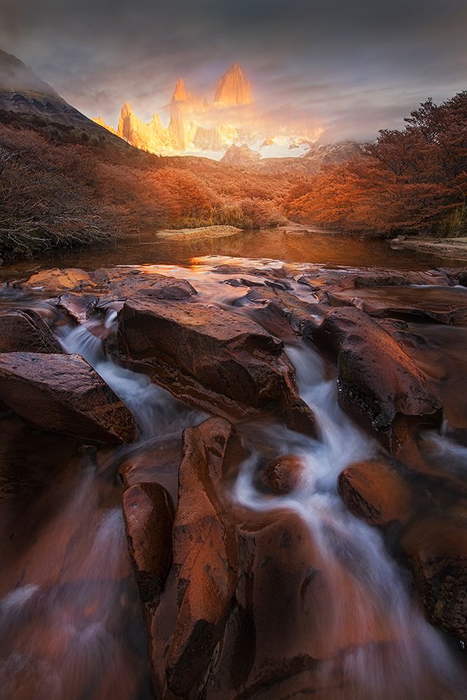 Dreamland art print by Yan Zhang for $57.95 CAD
