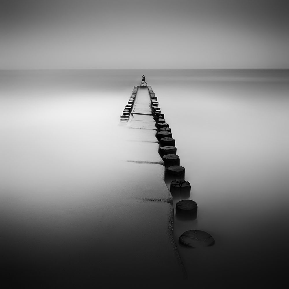 One art print by Daniel Rericha for $57.95 CAD