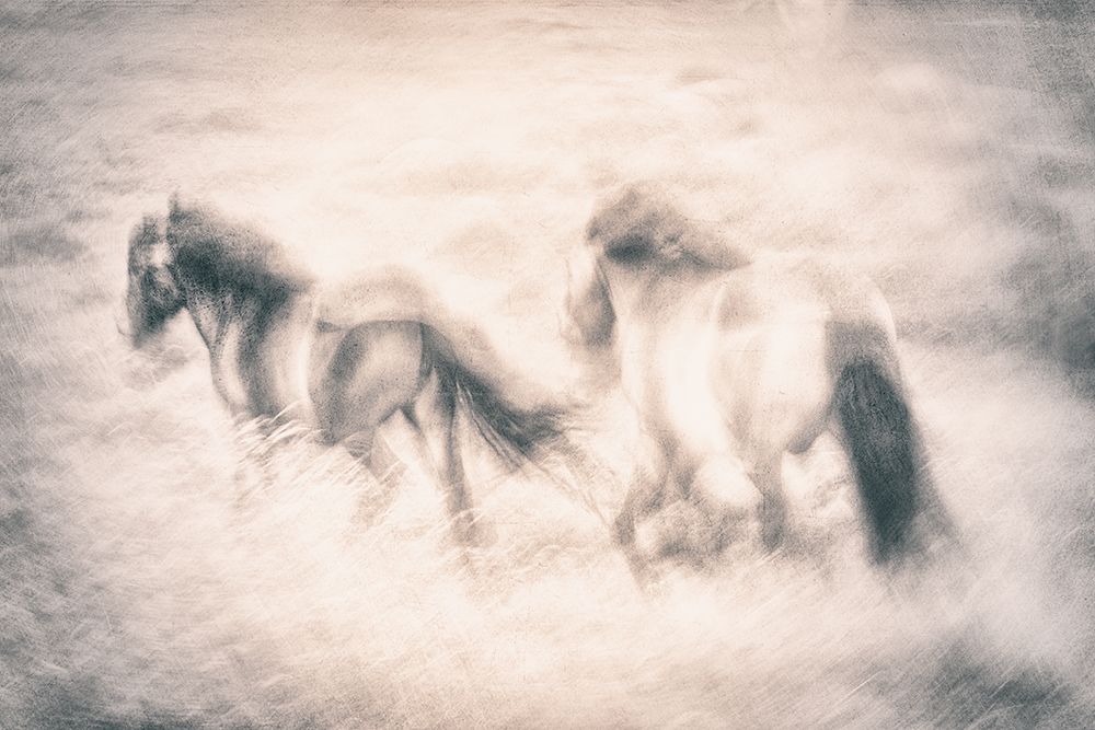Running Free art print by Gustav Davidsson for $57.95 CAD