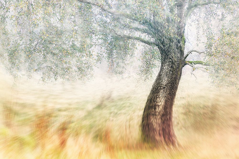 Twisted Dream art print by Gustav Davidsson for $57.95 CAD