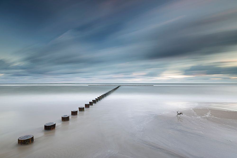 T art print by Rafal R. Nebelski for $57.95 CAD