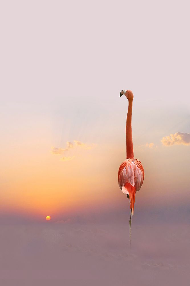 Sunset ... art print by Anna Cseresnjes for $57.95 CAD