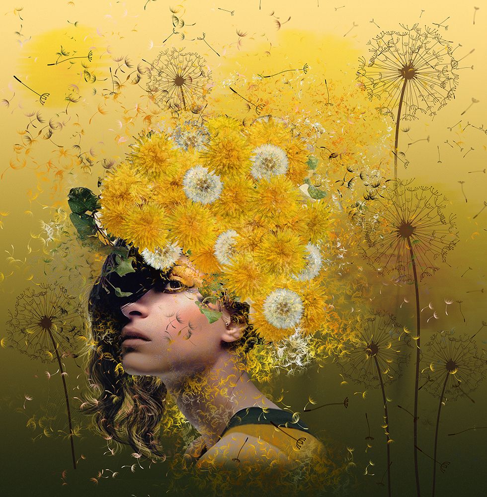 Dandelions art print by Natalia Simongulashvili for $57.95 CAD
