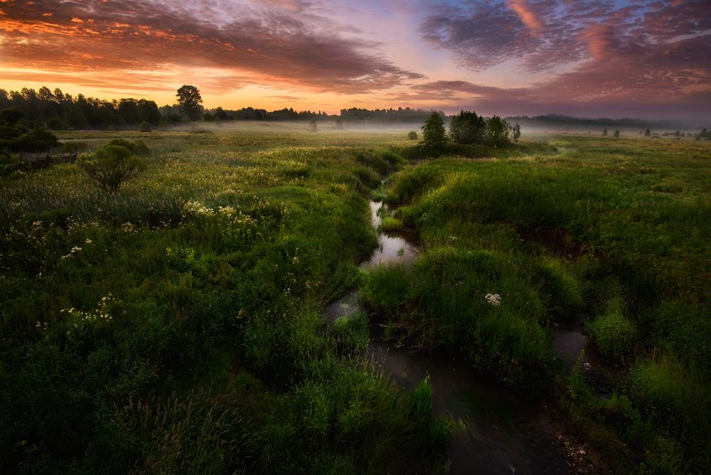 Morning On Kesma River art print by Kirill Volkov for $57.95 CAD