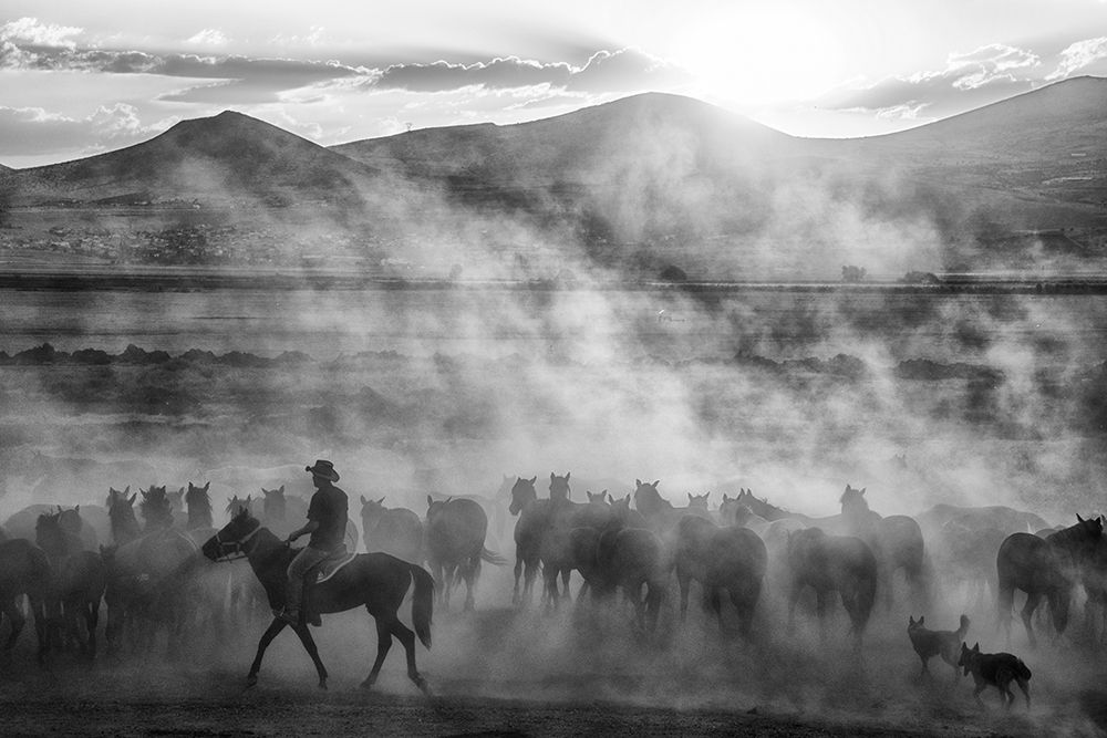 Rider On The Roll art print by Aumitcanan for $57.95 CAD