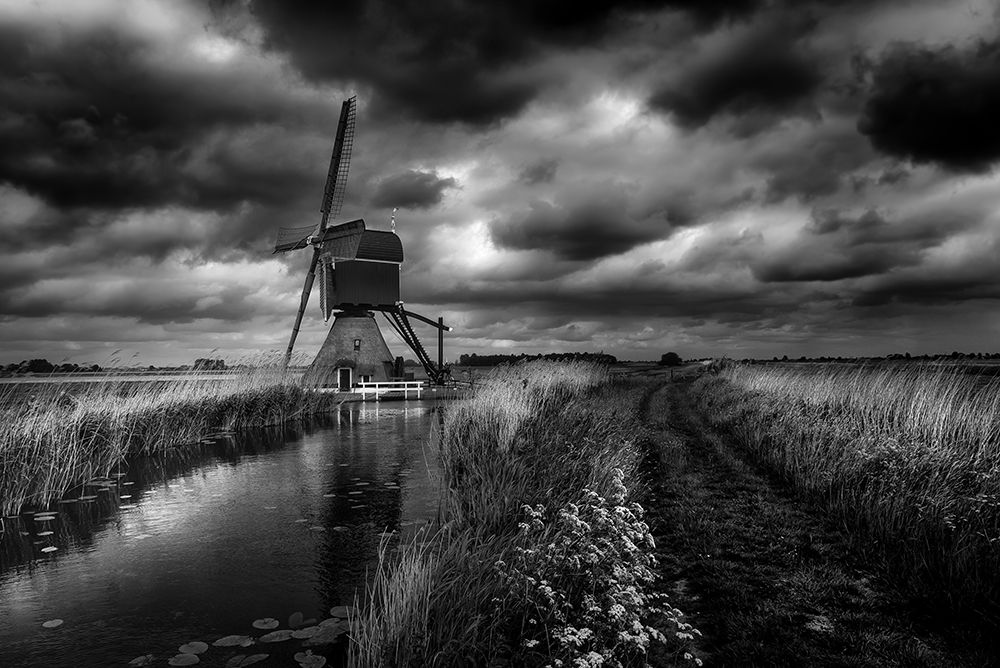 Dutch Pride art print by Michiel Hageman for $57.95 CAD