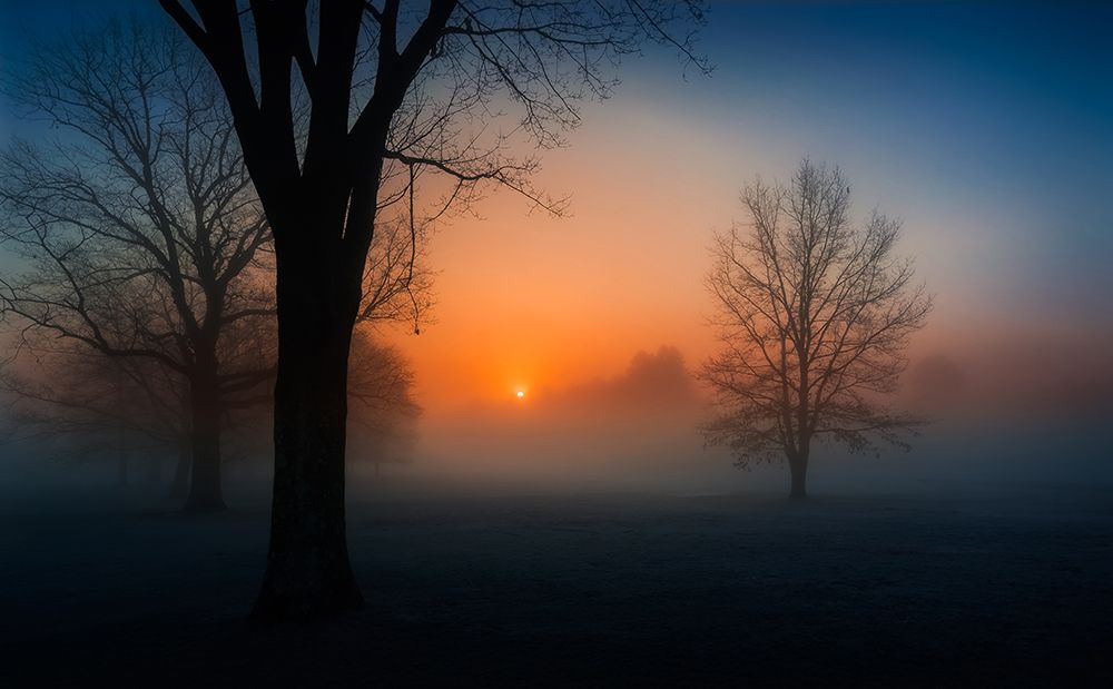 Foggy sunrise art print by Wei Dai for $57.95 CAD