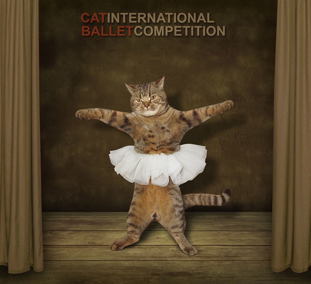 Finalist :)) art print by Iryna Kuznetsova (Iridi) for $57.95 CAD