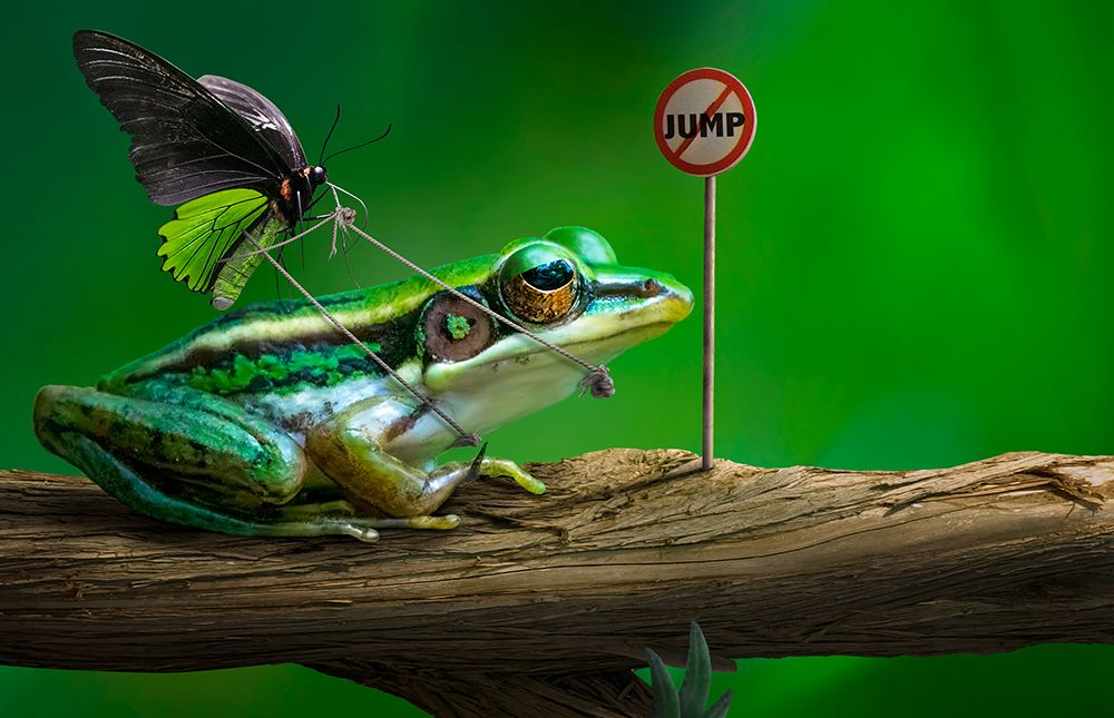No Jump art print by Sulaiman Almawash for $57.95 CAD