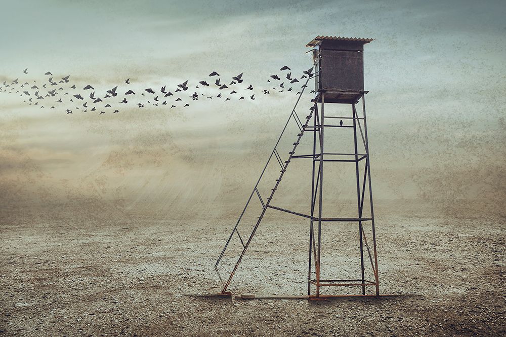 Go To Nature art print by Sulaiman Almawash for $57.95 CAD