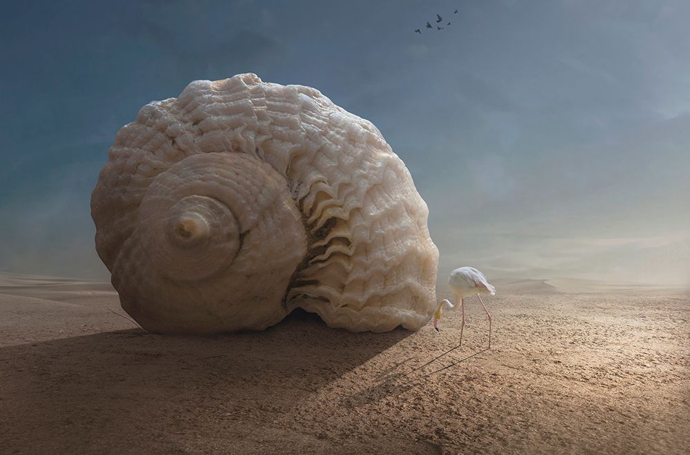 Whats Inside art print by Sulaiman Almawash for $57.95 CAD