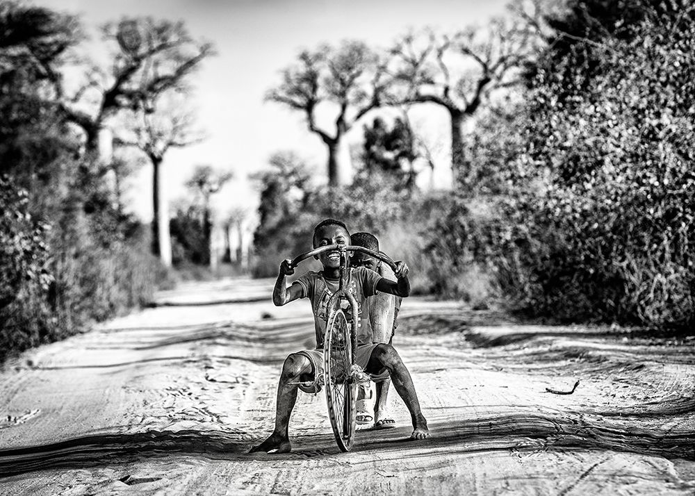 Having Fun Among Baobabs art print by Marco Tagliarino for $57.95 CAD