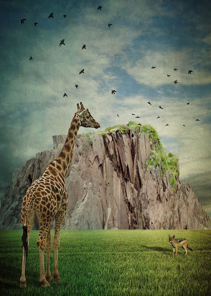 Giraffe and Jackal art print by Lucyna Lazarska for $57.95 CAD